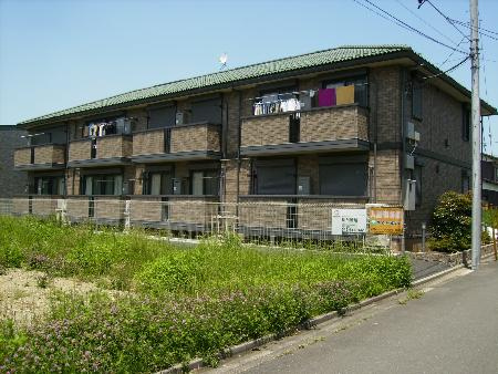 TS237画像
