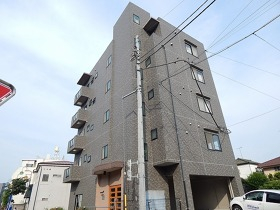 TS259画像