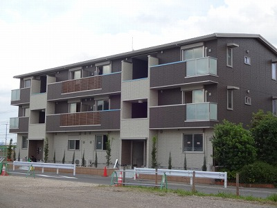 TS310画像