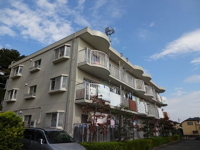 TF117画像